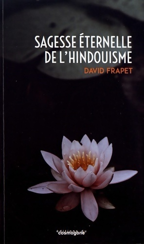 Bild des Verkufers fr Sagesse ?ternelle de l'hindouisme - David Frapet zum Verkauf von Book Hmisphres