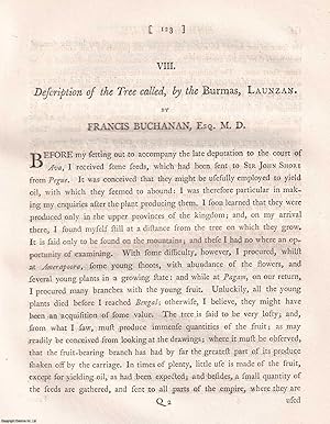 Seller image for Description of the Tree called, by the Burmas, Launzan. An original article extracted from Asiatick Researches; or Transactions of the Society Instituted in Bengal, 1799. [Afterwards known as The Asiatic Society of Bengal]. for sale by Cosmo Books