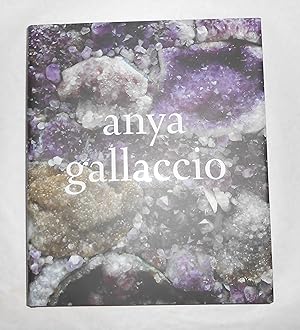 Seller image for Anya Gallaccio for sale by David Bunnett Books