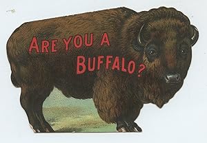 Immagine del venditore per Are You A Buffalo? venduto da Attic Books (ABAC, ILAB)