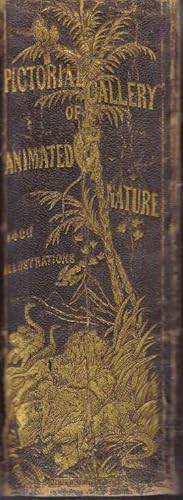 Seller image for THE PICTORIAL GALLERY OF ANIMATED NATURE for sale by High-Lonesome Books