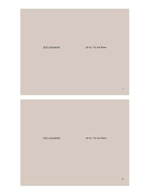 Seller image for Zoe Leonard : Al ro / To the River for sale by AHA-BUCH GmbH
