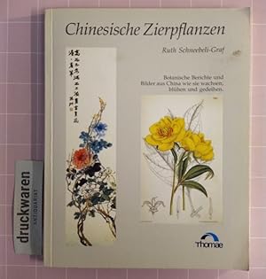 Seller image for Zierpflanzen Chinas. Botanische Berichte und Bilder aus dem Bltenland. for sale by Druckwaren Antiquariat
