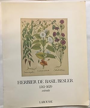 Herbier de Basil Besler 1561-1629 / extraits (14 planches)