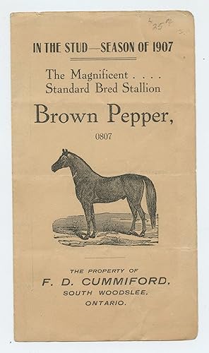 The Magnificent Standard Bred Stallion Brown Pepper