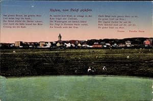 Bild des Verkufers fr Ansichtskarte / Postkarte Husum Nordfriesland, Blick vom Deich auf den Ort, Gedicht von Theodor Storm zum Verkauf von akpool GmbH
