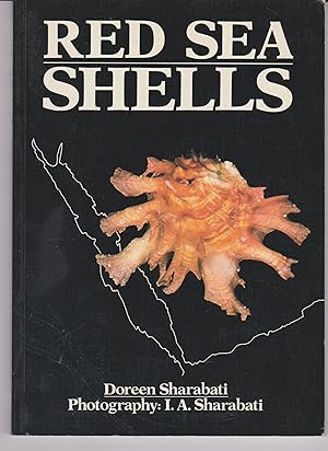 Red Sea Shells