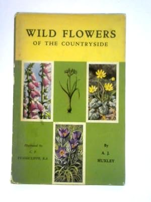 Imagen del vendedor de Wild Flowers of the Countryside a la venta por World of Rare Books