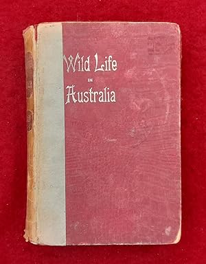 Wild Life In Australia : With 170 Original Photographs By The Author And Others