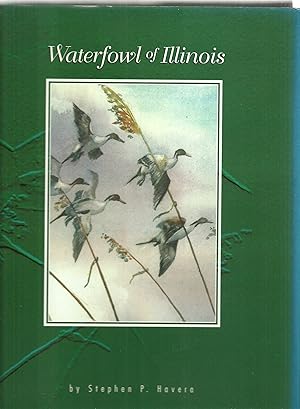 Immagine del venditore per Waterfowl of Illinois: Status And Management venduto da Sabra Books