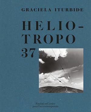 Seller image for Heliotropo 37 : Heliotropo 37 for sale by GreatBookPrices