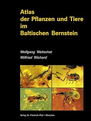 Atlas der Pflanzen und Tiere im Baltischen Bernstein