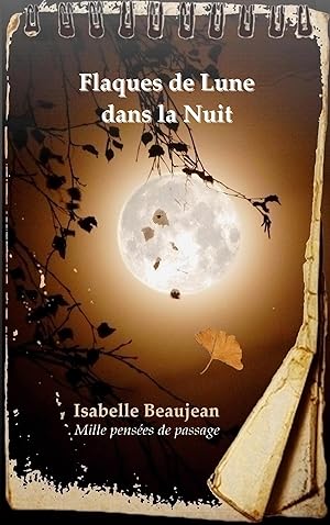 Image du vendeur pour Flaques de Lune dans la Nuit mis en vente par moluna