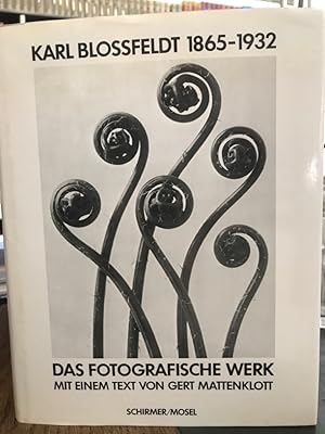 Karl Blossfeldt 1865 - 1932. Das fotografische Werk. Mit einem Text von Gert Mattenklott.
