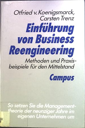 Seller image for Einfhrung von business reengineering : Methoden und Praxisbeispiele fr den Mittelstand. for sale by books4less (Versandantiquariat Petra Gros GmbH & Co. KG)