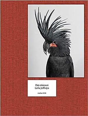 Seller image for Des Oiseaux for sale by Imosver