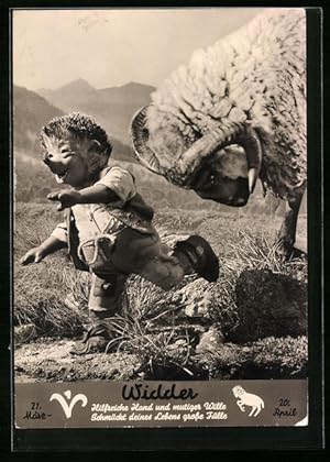 Bild des Verkufers fr Ansichtskarte Mecki flchtet vor einem Widder, Sternzeichen Widder zum Verkauf von Bartko-Reher