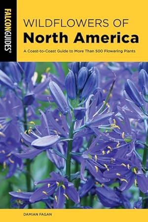 Seller image for Wildflowers of North America : A Coast-to-Coast Guide to More Than 500 Flowering Plants for sale by GreatBookPrices