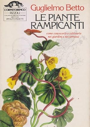 Le piante rampicanti. Come conoscerle e coltivarle nei giardini e nei terrazzi