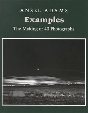 Bild des Verkufers fr Examples: The Making Of 40 Photographs zum Verkauf von AHA-BUCH GmbH
