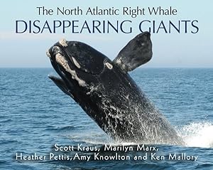 Seller image for North Atlantic Right Whale : Disappearing Giants for sale by GreatBookPrices