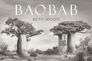 Bild des Verkufers fr Baobab zum Verkauf von AHA-BUCH GmbH