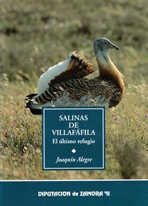 Seller image for Salinas de Villaffila. El ltimo refugio for sale by Librera Cajn Desastre