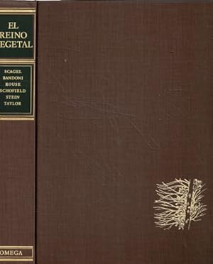 Seller image for El Reino Vegetal. Los grupos de plantas y sus relaciones evolutivas for sale by Librera Cajn Desastre
