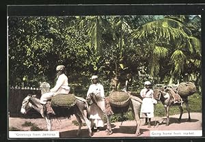Bild des Verkufers fr Postcard Jamaika, Mnner auf Eseln kehren vom Markt zurck zum Verkauf von Bartko-Reher