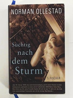 Bild des Verkufers fr Schtig nach dem Sturm: Roman zum Verkauf von Leserstrahl  (Preise inkl. MwSt.)