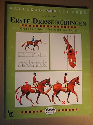 Kavalkade-Ratgeber ; Nr. 6 Erste Dressurübungen : Grundausbildung für Pferd und Reiter.