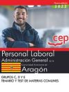 Personal Laboral. Administración General de la Comunidad Autónoma de Aragón. Grupos C, D y E. Tem...