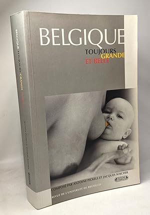 Imagen del vendedor de Belgique toujours grande et bel a la venta por crealivres