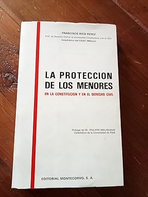 LA PROTECCIÓN DE LOS MENORES EN LA CONSTITUCION Y EN EL DERECHO CIVIL