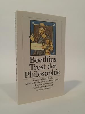 Bild des Verkäufers für Trost der Philosophie (insel taschenbuch) zum Verkauf von ANTIQUARIAT Franke BRUDDENBOOKS