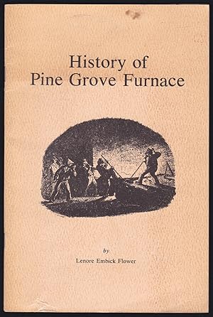 Imagen del vendedor de History of Pine Grove Furnace a la venta por JNBookseller