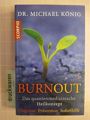 Burnout. Das quantenmedizinische Heilkonzept. Diagnose, Prävention, Soforthilfe.