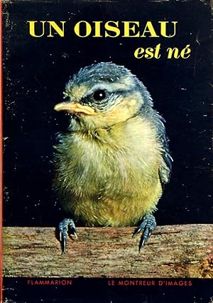 Imagen del vendedor de Un oiseau est n a la venta por Sylvain Par