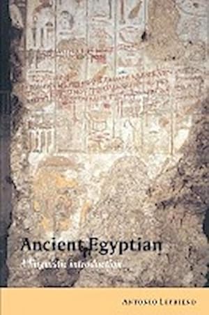 Immagine del venditore per Ancient Egyptian : A Linguistic Introduction venduto da AHA-BUCH GmbH