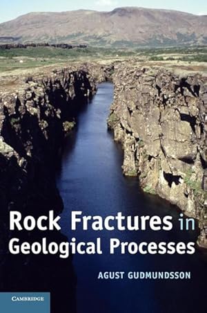 Immagine del venditore per Rock Fractures in Geological Processes venduto da AHA-BUCH GmbH