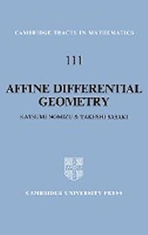 Bild des Verkufers fr Affine Differential Geometry : Geometry of Affine Immersions zum Verkauf von AHA-BUCH GmbH