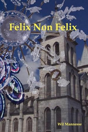 Seller image for Felix Non Felix for sale by AHA-BUCH GmbH