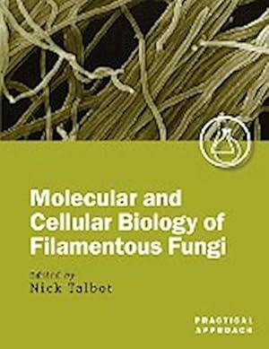 Seller image for Molecular and Cellular Biology of Filamentous Fungi : A Practical Approach for sale by AHA-BUCH GmbH