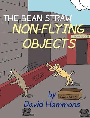 Immagine del venditore per The Bean Straw : Non-Flying Objects venduto da AHA-BUCH GmbH