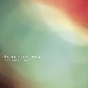 Seller image for Sonnetcetera for sale by AHA-BUCH GmbH