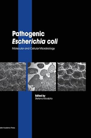 Bild des Verkufers fr Pathogenic Escherichia coli : Molecular and Cellular Microbiology zum Verkauf von AHA-BUCH GmbH