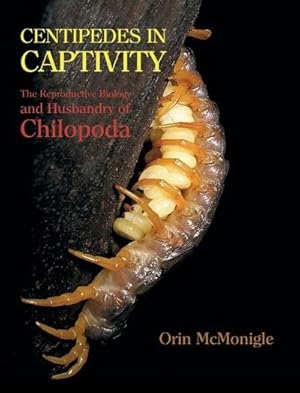 Seller image for Centipedes in Captivity : The Reproductive Biology and Husbandry of Chilopoda for sale by AHA-BUCH GmbH