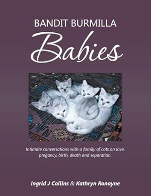 Seller image for Bandit Burmilla Babies : Intimate conversations with a family of cats on love, pregancy, birth, death and separation. for sale by AHA-BUCH GmbH