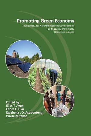 Seller image for Promoting Green Economy : Implications for Natural Resources Development, Food Security and Poverty Reduction in Africa for sale by AHA-BUCH GmbH