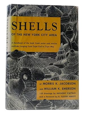 Seller image for SHELLS OF THE NEW YORK CITY AREA for sale by Rare Book Cellar